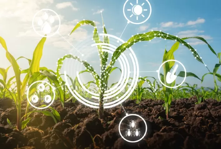 Agro 5.0: tecnologia e inovação aceleram a revolução no agronegócio mundial