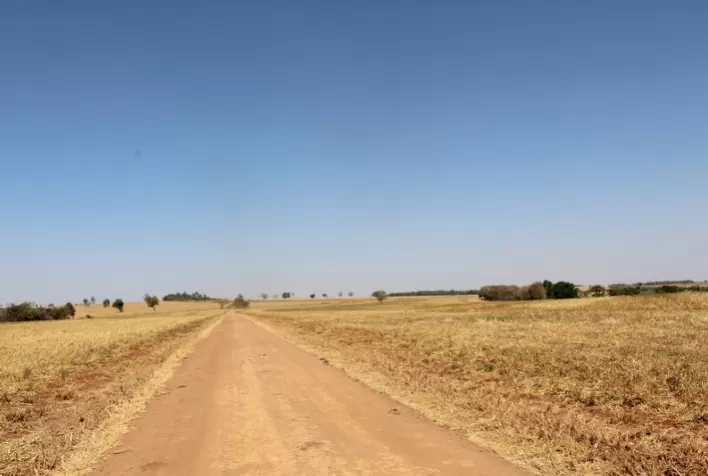 Produtores rurais devem reforçar prevenção contra queimadas durante período seco