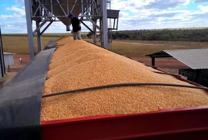 Como produtores rurais podem se proteger de calotes de cerealistas