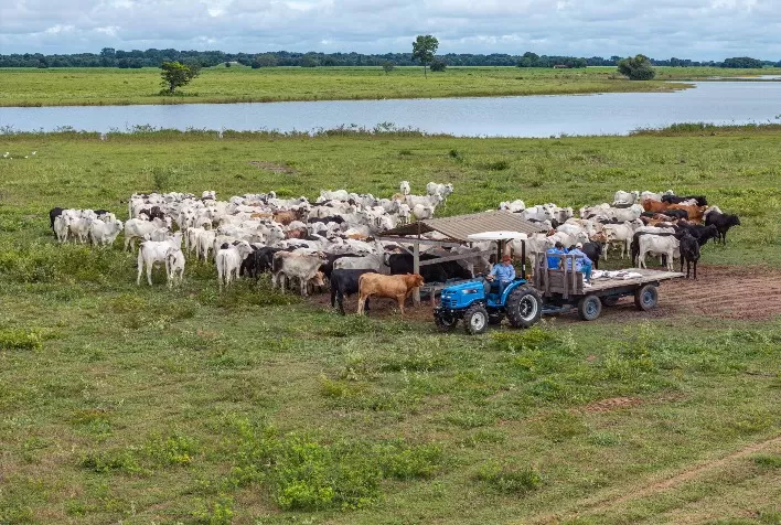 Tratores da LS Tractor chegam à Expointer 2025 com foco na pecuária moderna