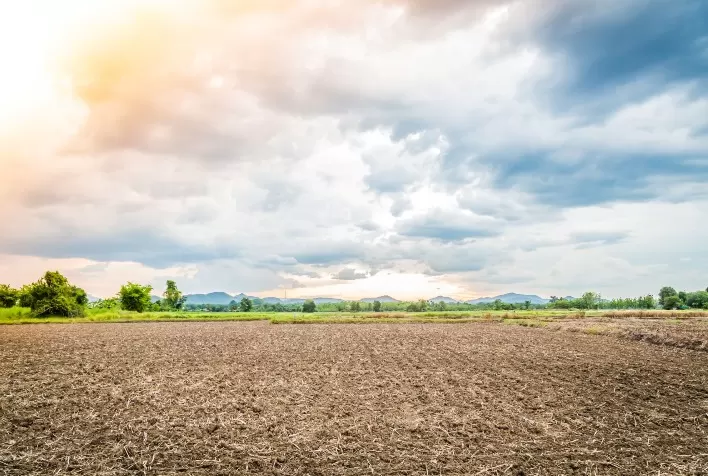 Investimento verde: terras degradadas ganham espaço para agtechs e investidores do agro