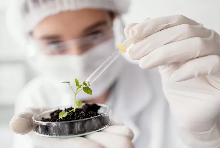 Fortgreen lança linha Special Dry para maximizar produtividade e equilíbrio nutricional das culturas