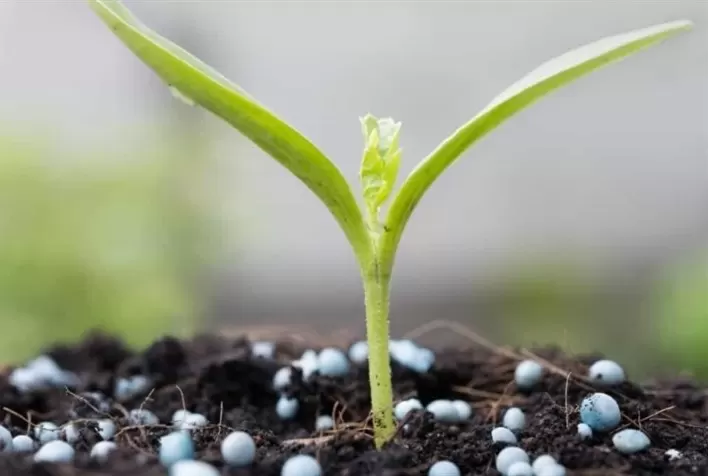 Tecnologia alemã promete maior precisão na aplicação de fertilizantes a partir de 2026