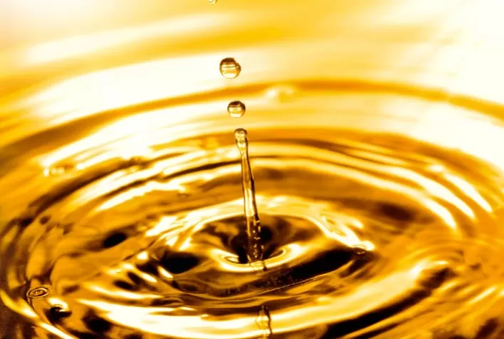 Uso de sebo bovino para biodiesel deve crescer no Brasil após tarifas dos EUA