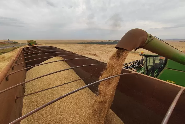Safra de soja 2025/26 no Paraná deve alcançar 22 milhões de toneladas, projeta Deral