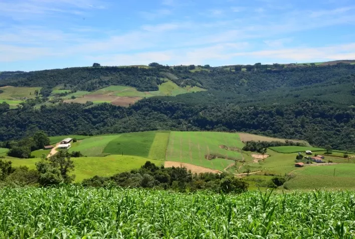 Senado aprova SC Rural 2: projeto vai gerar mais renda e fortalecer agricultura catarinense