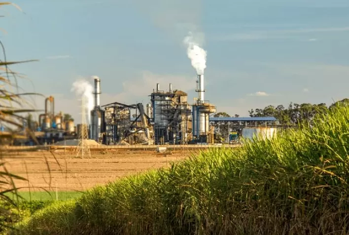 Moagem de cana na primeira quinzena de agosto cresce 8%, mas produção de açúcar e etanol recua