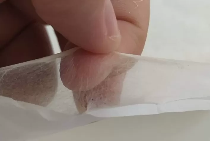 Nanossachê biodegradável promete ampliar vida útil de bananas e reduzir perdas no consumo