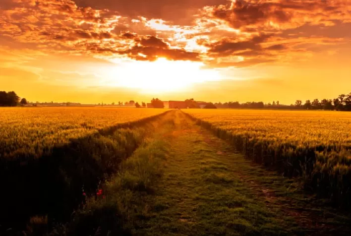 Clima no Brasil: calor intenso, geadas e chuvas irregulares impactam agricultura