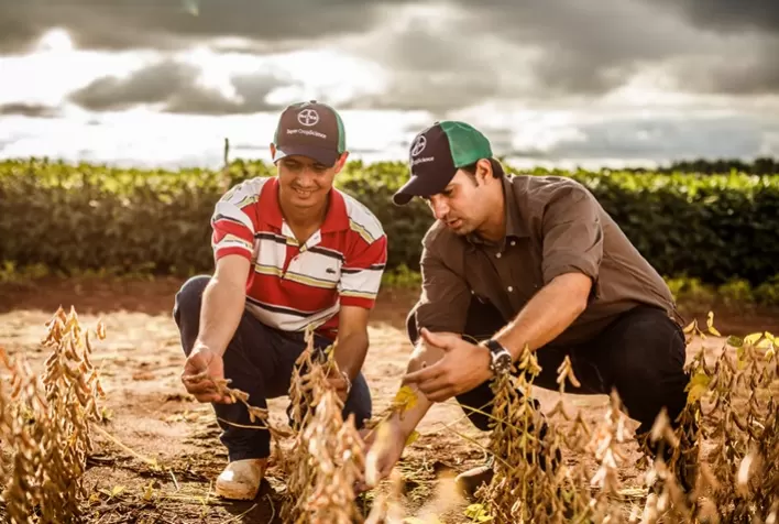 Estudo do CEPEA/ABIOVE revela tendências do mercado de trabalho na cadeia da soja e do biodiesel