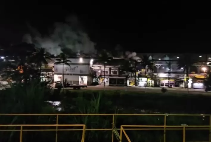 Chuvas atrasam moagem da Coaf em Pernambuco, mas safra deve repetir volume anterior