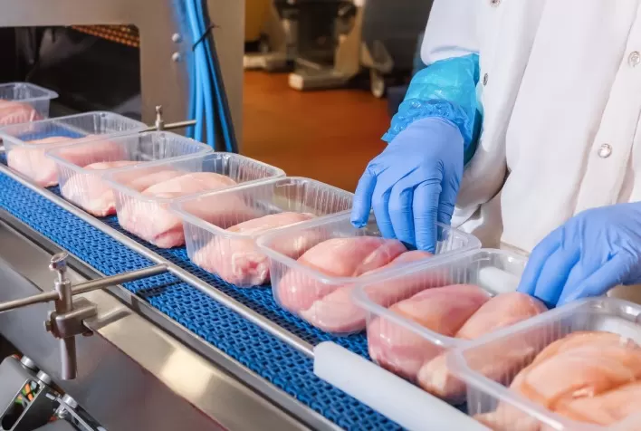 Exportações brasileiras de carne de frango crescem 3,9% em agosto, com México liderando embarques