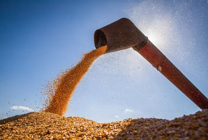 Colheita da safrinha de milho atinge 98,3% no Brasil e plantio da safra de verão chega a 28%