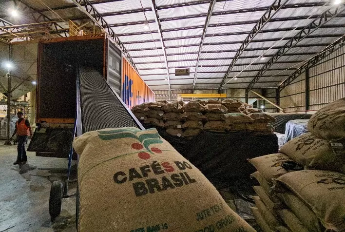 Exportações de café do Brasil caem 17,5% em agosto; EUA perdem posto de maior importador para Alemanha