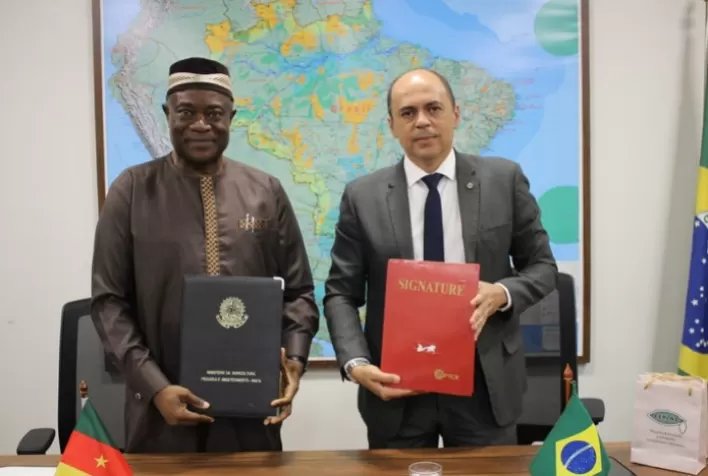Brasil e Camarões firmam acordo para impulsionar produção sustentável de cacau