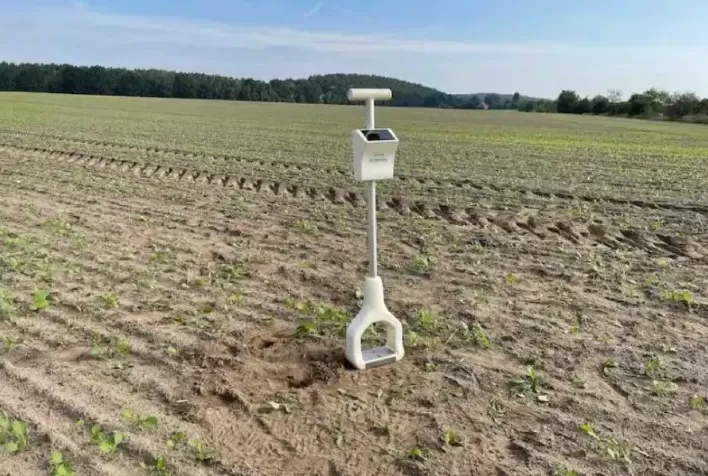 Monitoramento de nitrogênio em tempo real pode gerar economia de até R$ 1 bilhão ao agronegócio paulista