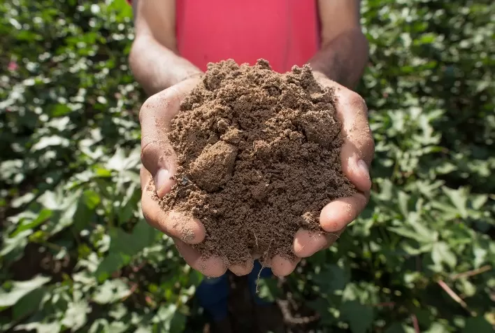 Agricultura regenerativa é caminho para estabilidade climática e produtividade sustentável