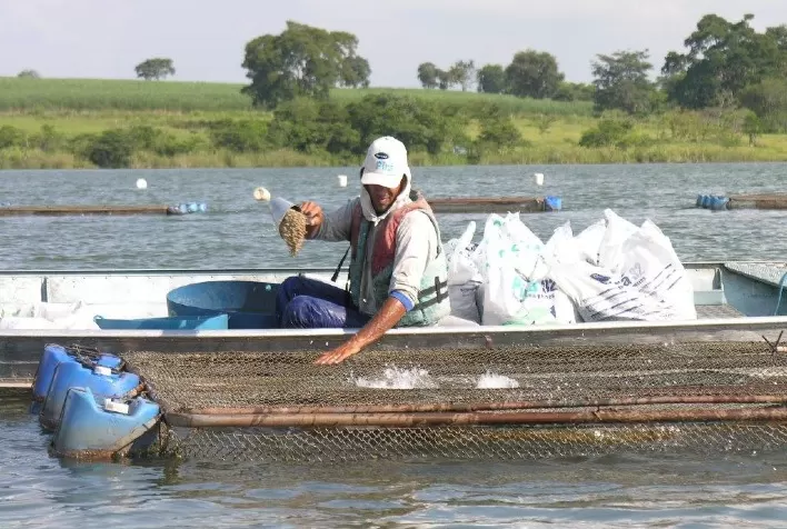 Dia de Campo da Embrapa destaca protagonismo da piscicultura de espécies nativas no Tocantins
