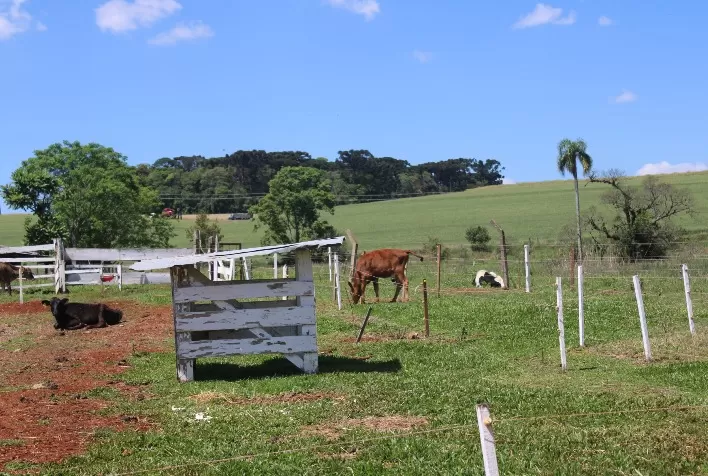 ITR: atraso na declaração gera multa e juros para produtores rurais