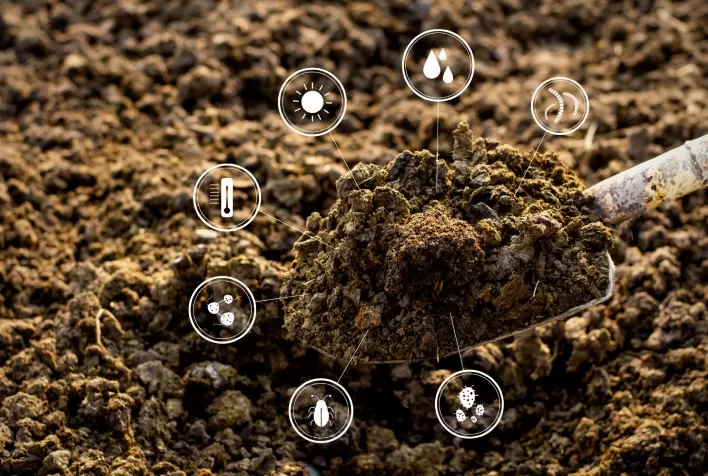 Diagnóstico de solo é aliado na prevenção de nematoides e no aumento da produtividade agrícola