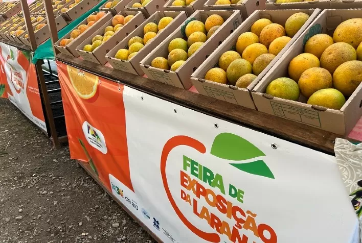 Laranja de Tanguá com selo de Indicação Geográfica é destaque em concurso no RJ
