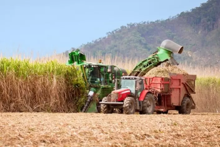 Safra de cana-de-açúcar no Centro-Sul já ultrapassa dois terços da colheita