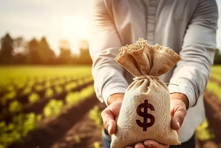 Crédito privado para o agronegócio ganha força com soluções flexíveis e personalizadas