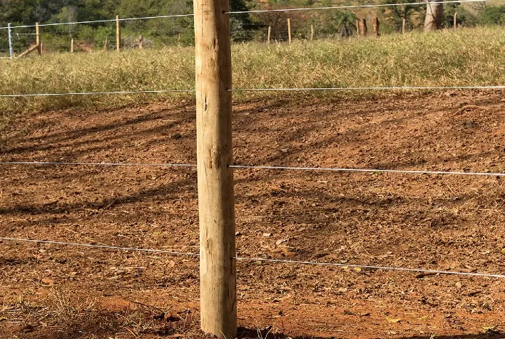 Cuidados essenciais com cercas rurais durante estiagem e períodos de seca