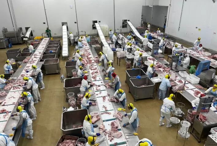 Suinco conquista habilitação para exportar à África do Sul e fortalece presença global