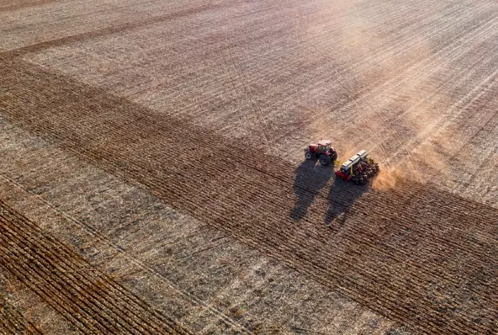 Plantio da safra 2025/26 de soja começa em Dourados (MS) e já atinge 3% da área