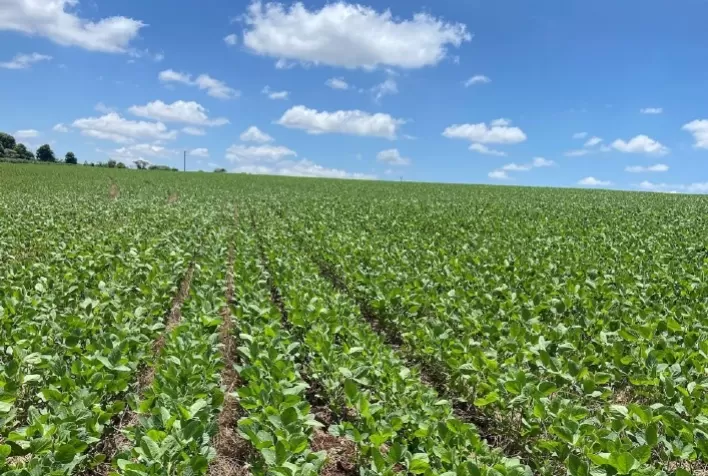 Safra 2025/26: tecnologias integradas impulsionam agricultura regenerativa e competitividade no campo