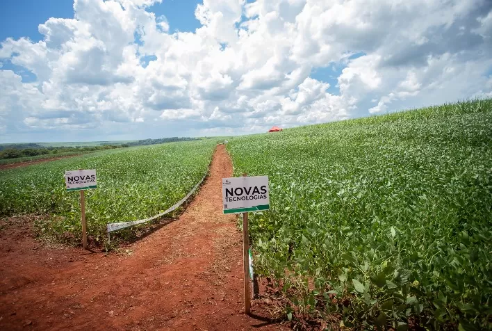 Empresa brasileira lança fertilizante inovador e reduz dependência do país de produtos importados