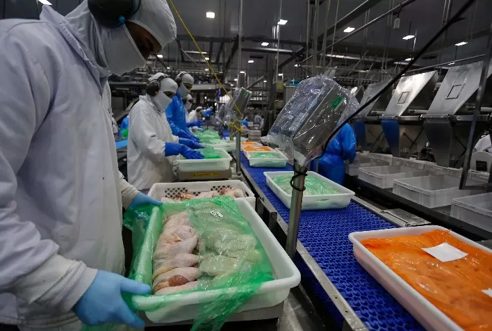 Exportações de carne de frango atingem 482 mil toneladas em setembro com África do Sul como principal destino