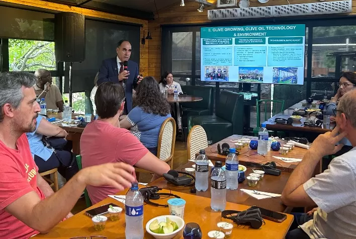 Masterclasses de azeites extravirgens mostram aromas e sabores a varejo e food services gaúchos
