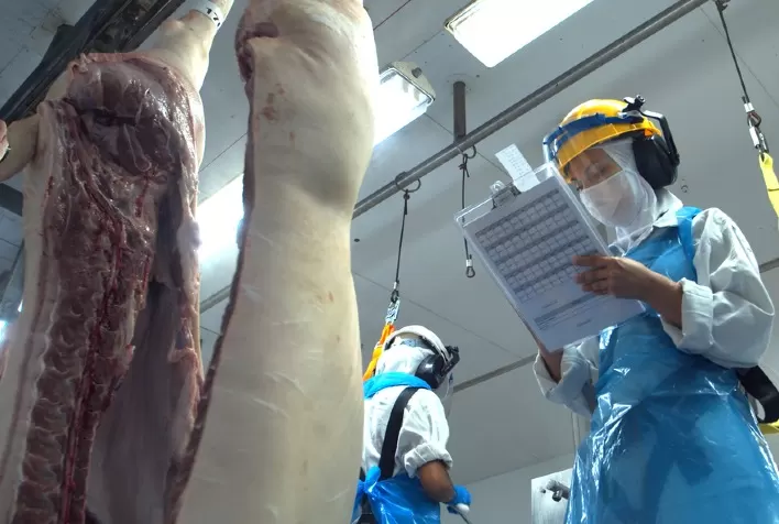 Exportações de carne suína do Brasil batem recorde histórico em setembro