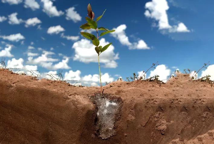 Agricultura brasileira se prepara para estiagens com soluções tecnológicas de manejo hídrico