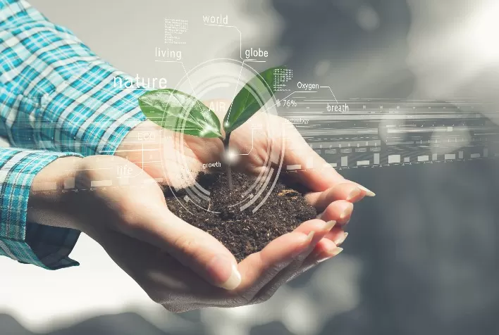 A Influência do Dinheiro na Economia do Agronegócio Digital