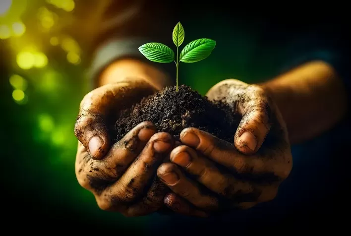 dsm-firmenich e F&S firmam parceria para certificar reduções de carbono em fazendas da América Latina