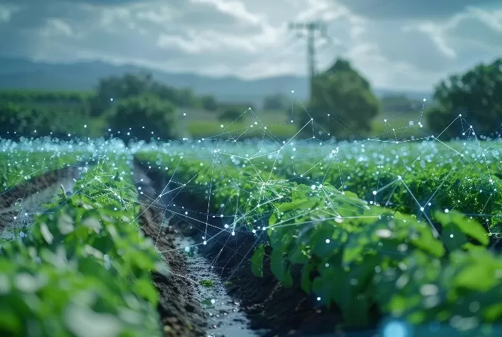 Agronegócio 4.0: produtividade digital exige proteção contra ciberataques