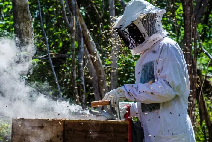Montes Claros recebe 5º Congresso Mineiro e 22º Seminário de Apicultura com 1,5 mil participantes