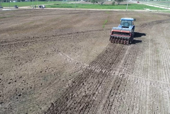 Plantio de arroz no Rio Grande do Sul avança para 38% da Safra 2025/2026, indica IRGA