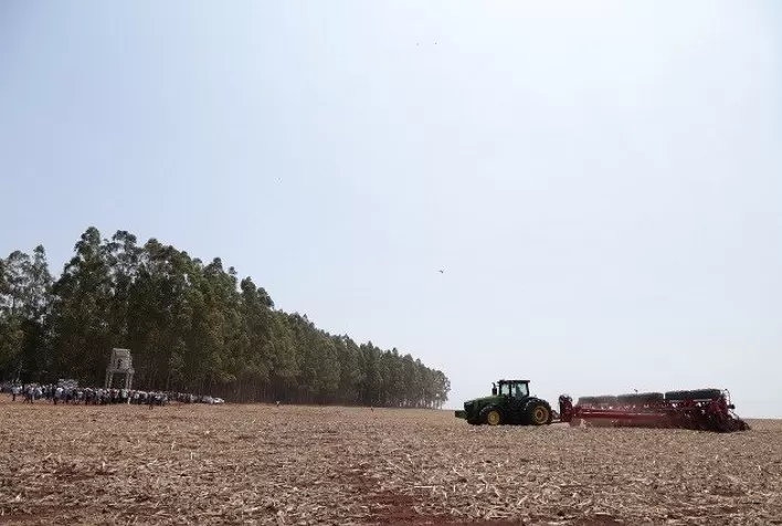 Plantio de soja no Brasil avança e atinge 24%, impulsionado por chuvas no Centro-Oeste