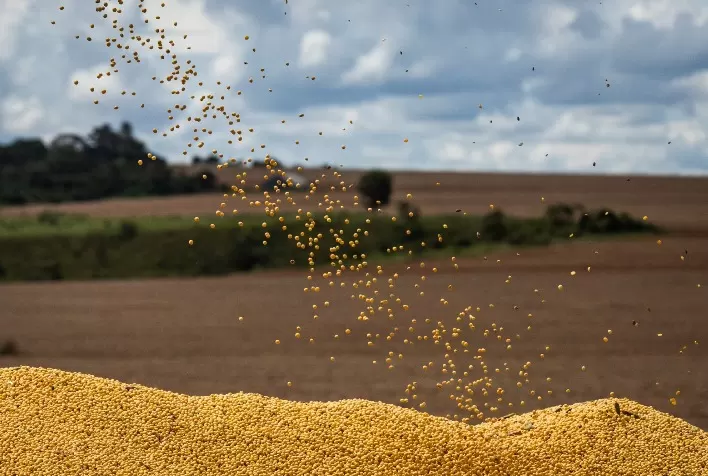 Soja mantém volatilidade com incertezas comerciais e variações regionais no Brasil