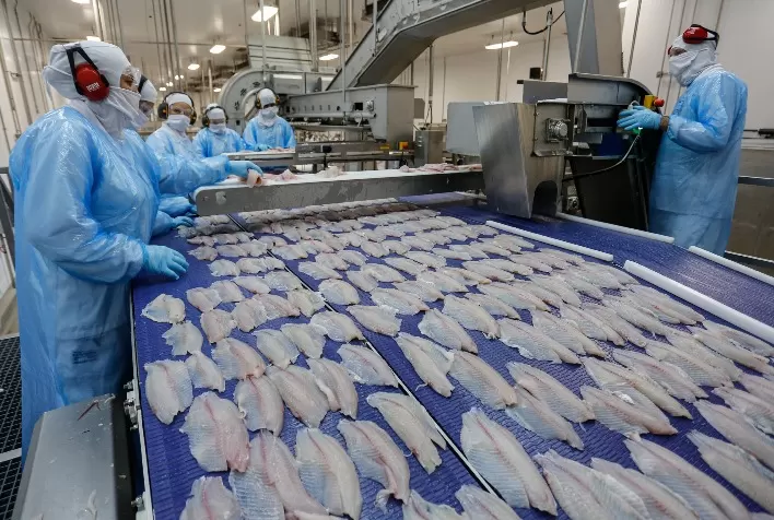 Brasil busca fortalecer comércio de pescado na América Latina e amplia competitividade da piscicultura