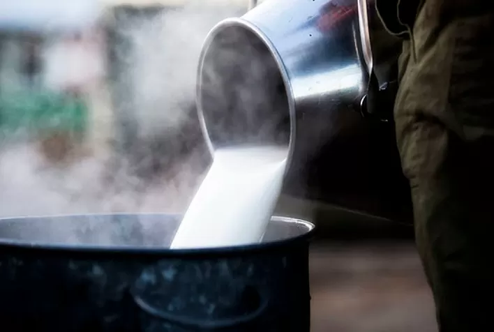 Custo de produção do leite cai, mas preço ao produtor continua em queda no RS