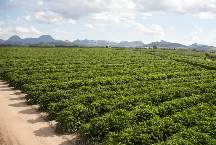 Manutenção preditiva revoluciona a irrigação por gotejamento no campo