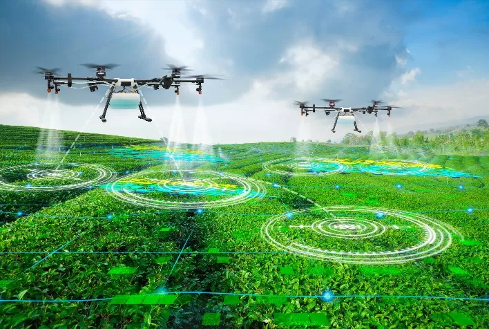 Tecnologia impulsiona produtividade e reduz riscos no agronegócio brasileiro, aponta estudo da RaboResearch