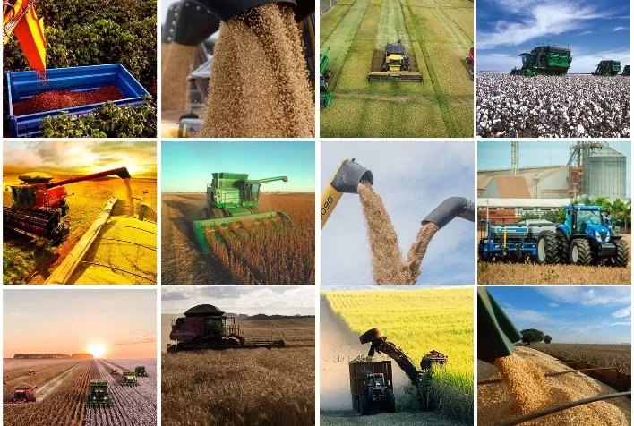 Goiás lidera produtividade do agronegócio brasileiro com soja rendendo quase 4 toneladas por hectare