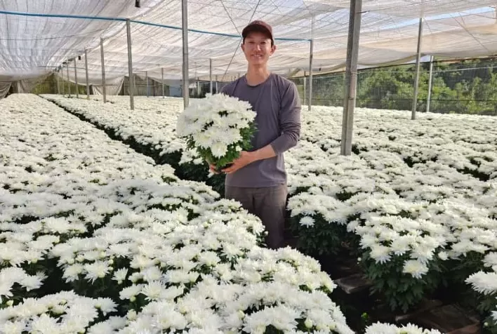 Finados impulsiona setor de flores com expectativa de alta nas vendas em 2025