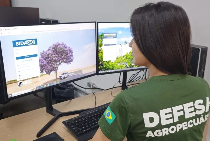 Goiás inicia segunda etapa da Declaração de Rebanho 2025 neste sábado